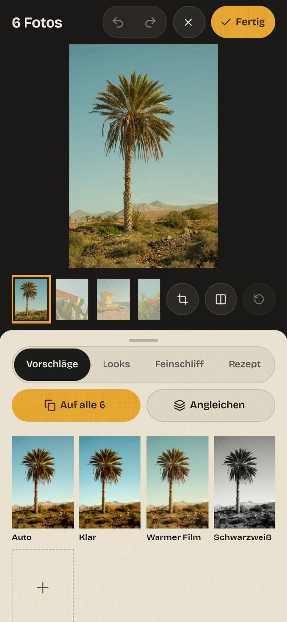 Bildschirmfoto: Fotostudio